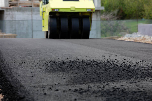 Best Driveway Pavers Near Me  in Gainesboro, TN
