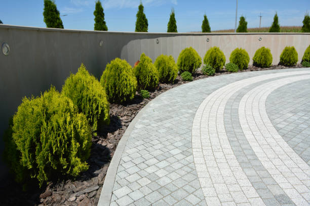 Best Driveway Paver Repair  in Gainesboro, TN