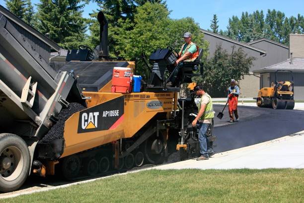 Best Driveway Paving Near Me  in Gainesboro, TN